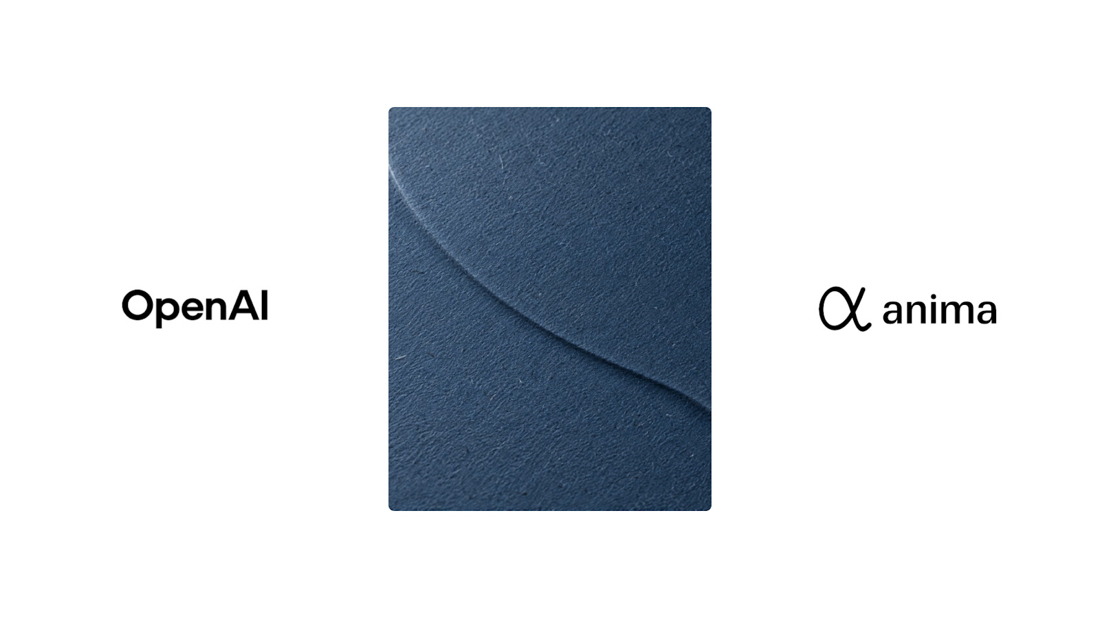 OpenAI 与 Anima 官方卡图：白底上两枚压纹纸标识相对。